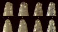 Eulimella&nbsp;acicule e subcylindrata (protoconche)